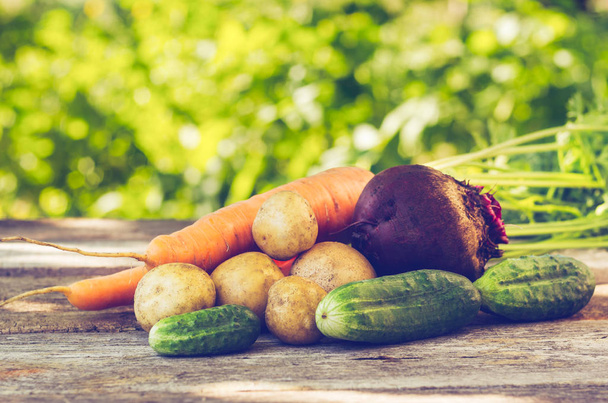 Cucumbers carrots potatoes and beets lying on a wooden table - Photo, Image