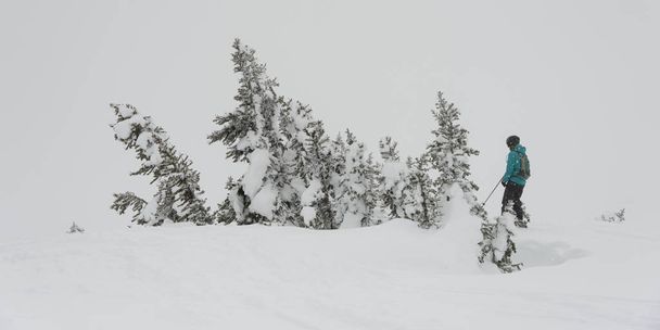 Touristen beim Skifahren auf schneebedeckten Bergen, Whistler, British Columbia, Kanada - Foto, Bild