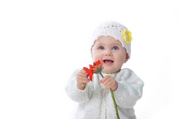 baby girl with red flower - Foto, Imagen