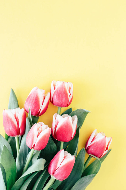 tulipany na żółtym tle - Zdjęcie, obraz