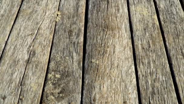 Sfondo di assi di legno - Filmati, video