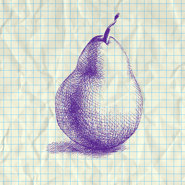Sketch illustration of pear on notebook paper. - Vector, Image