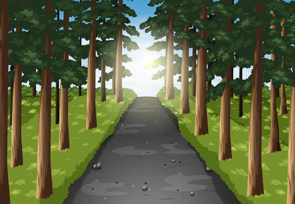 Achtergrond scène van weg in het bos - Vector, afbeelding