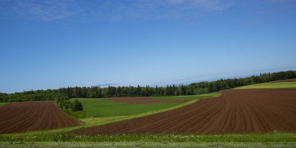 Vista panorámica del campo arado, Breadalbane, Isla del Príncipe Eduardo, Canadá
 - Foto, imagen