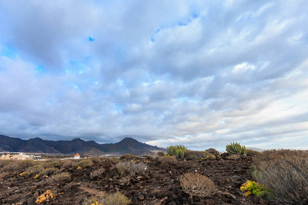 Beautiful Tenerife landscape - Costa Adeje - Photo, Image