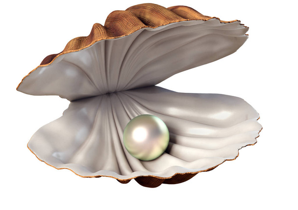 Трехмерная иллюстрация раковины с жемчужиной на белом фоне
 - Фото, изображение