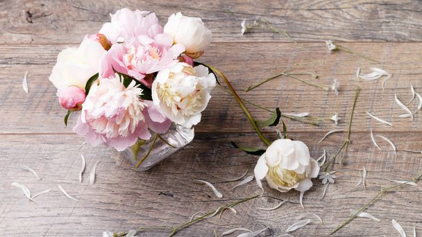 繊細な花弁の花と木の板に白リボン白ピンクの牡丹。オーバーヘッド平面図、フラットが横たわっていた。領域をコピーします。誕生日、母のバレンタイン、女性、結婚式の日の概念 - 写真・画像