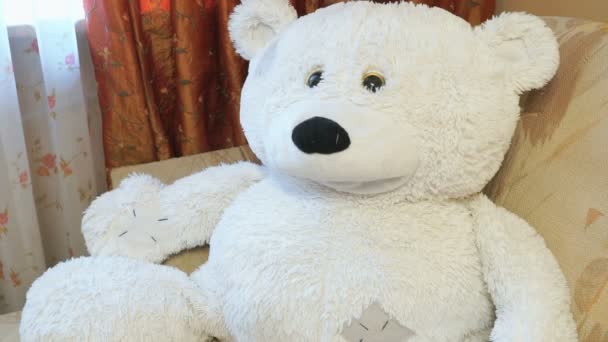 Soft beautiful polar white bear baby toy. Close-up - Felvétel, videó