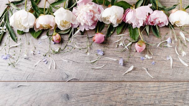 Λεπτή λευκή παιωνία ροζ με πέταλα λουλουδιών και λευκή κορδέλα σε ξύλινη σανίδα. Γενικά το top view, επίπεδη θέσει. Αντιγράψτε το χώρο. Γενέθλια, της μητέρας, ημέρα του Αγίου Βαλεντίνου, των γυναικών, ημέρα του γάμου της έννοιας - Φωτογραφία, εικόνα