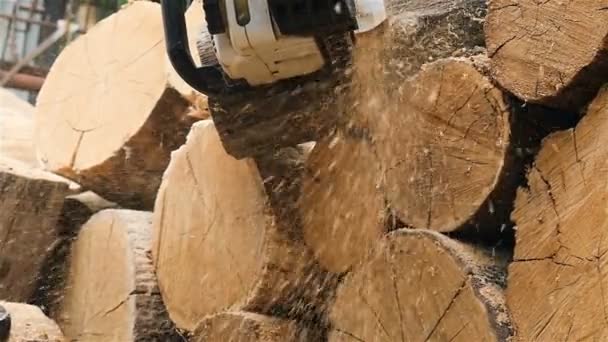 Wood chips in slow motion flies straight into the camera. Sawing firewood with chainsaw - Footage, Video