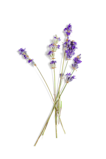 Fresh lavender on white background - Φωτογραφία, εικόνα