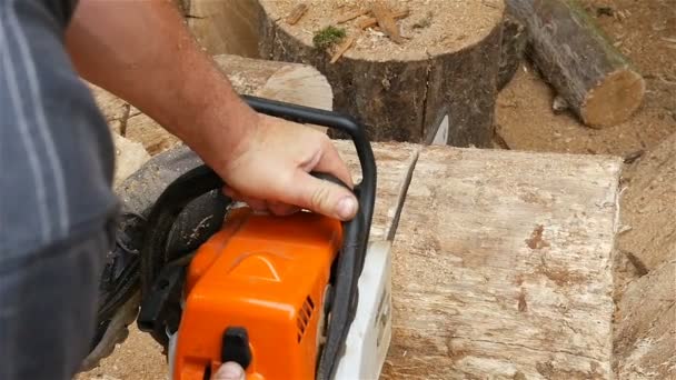 Mens hands hold a chainsaw. Sawing of firewood. Slow motion - Footage, Video