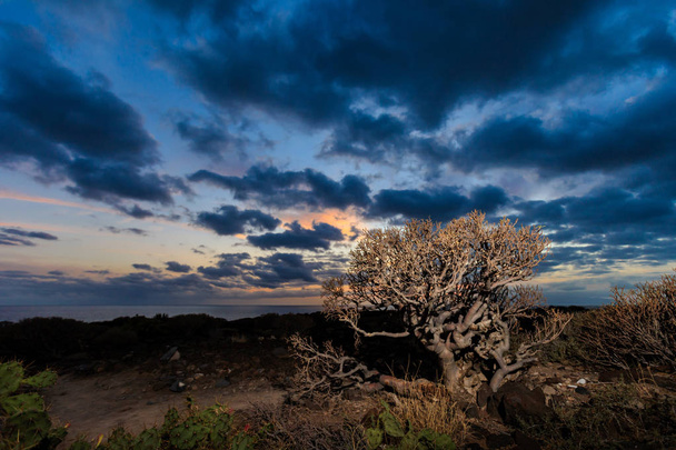 Landschap Tenerife - Costa Adeje zonsondergang - Foto, afbeelding