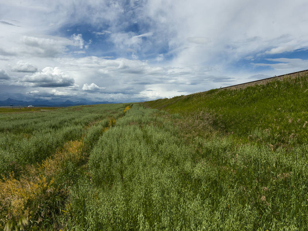 Vue panoramique du paysage herbeux, sud de l'Alberta, Alberta, Canada
 - Photo, image