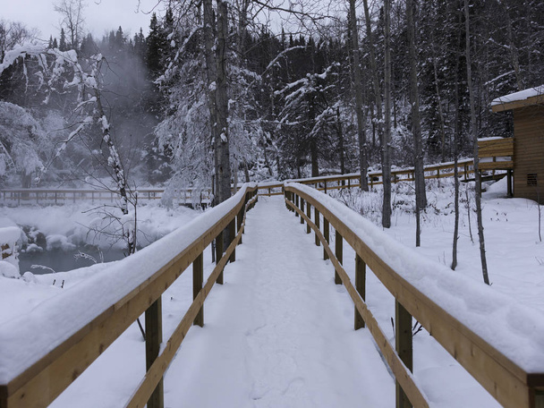 Ponte di legno in una foresta innevata, Liard River Hot Springs Provincial Park, Northern Rockies Regional Municipal, British Columbia, Canada
 - Foto, immagini