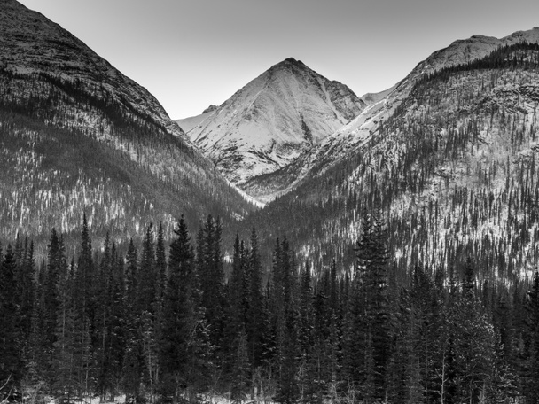 カナダ、ブリティッシュ コロンビア州、ノーザン ・ ロッキーズ地域アラスカ ・ ハイウェイとの背景には、雪を頂いた山木の表示 - 写真・画像