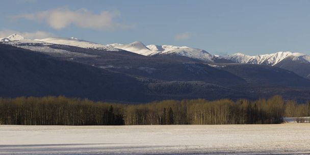 Trees with snowcapped mountain in the background, Highway 16, Yellowhead Highway, British Columbia, Canada - Photo, Image