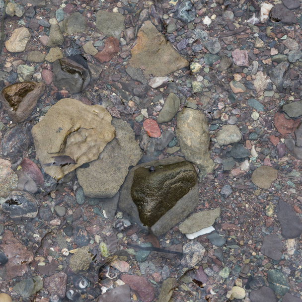 Close-up de seixos em águas rasas, Fundy National Park, Alma, New Brunswick, Canadá
 - Foto, Imagem