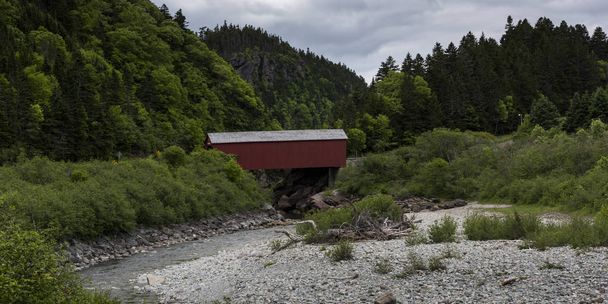 Покрытый мост среди деревьев у реки в Национальном парке Фанди, Альма, Нью-Брансуик, Канада
 - Фото, изображение