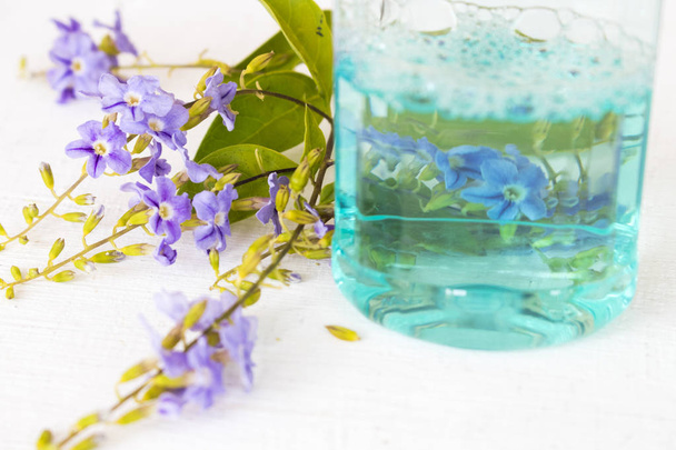 collutorio per la cura della salute cavità orale e fiore viola su bianco
 - Foto, immagini