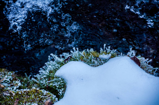 雪で覆われたヴレロ Bosne - 写真・画像