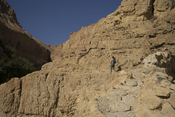 岩の上を歩く10代の少女,死海地域,イスラエル - 写真・画像