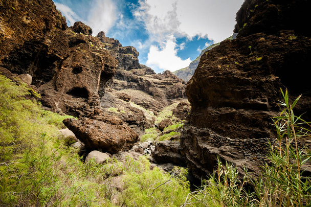 Güzel Tenerife manzara - Masca Vadisi - Fotoğraf, Görsel