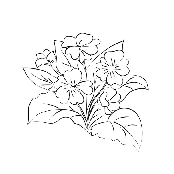 Primrose illustration on white background. - Vettoriali, immagini