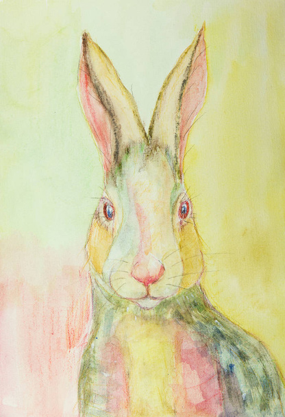 Sarı ve yeşil arka plan üzerinde bir tavşan portresi. Yumuşak odak etkisi nedeniyle değişmiş yüzey pürüzlülüğü kağıdın dabbing tekniği verir. - Fotoğraf, Görsel