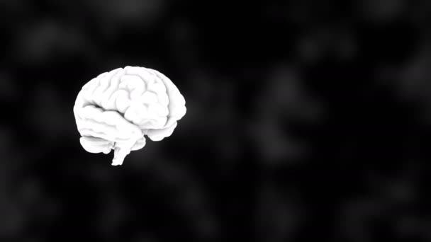 Cerebro blanco humano 3D en negro, fondo de anatomía de la ciencia, representación 3D
 - Metraje, vídeo