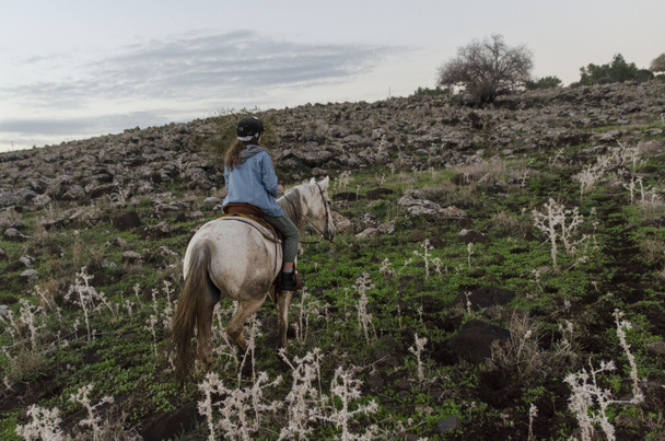Adolescente menina equitação cavalo, Galiléia, Israel
 - Foto, Imagem