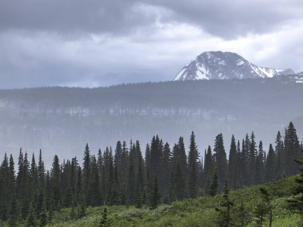 Δέντρα σε ένα τοπίο με οροσειρά στο παρασκήνιο, θα-να-ο-Κυρ Road, παγετώνας εθνικό πάρκο, παγετώνας County, Μοντάνα, ΗΠΑ - Φωτογραφία, εικόνα