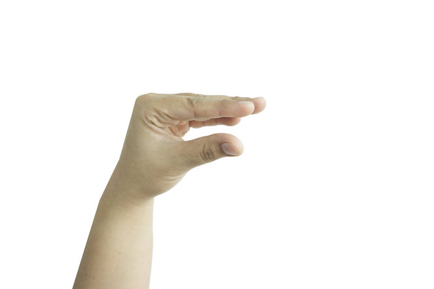 απομονωμένη υπόβαθρο χέρι Καυκάσιος άνθρωπος εκφραστικό ζώο σχή - Φωτογραφία, εικόνα