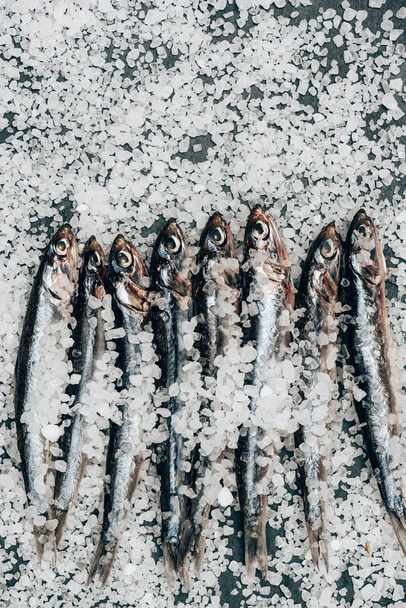 Top view of pile of salted fish and on surface covered by salt - Foto, Imagem