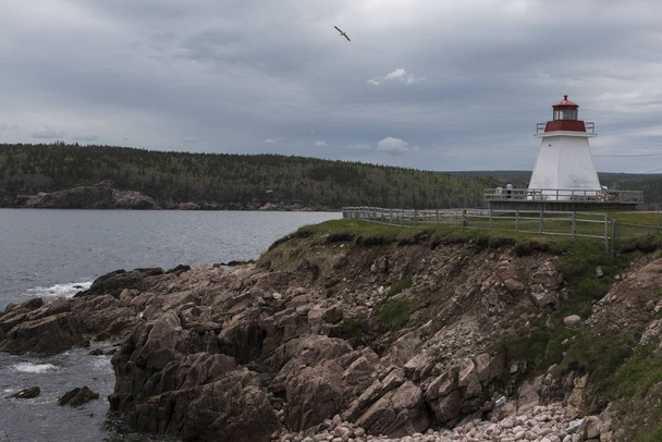 Faro sulla costa, Neil Harbour, Cape Breton Island, Nuova Scozia, Canada
 - Foto, immagini