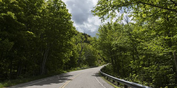 Estrada vazia em meio a árvores na floresta, Pleasant Bay, Cape Breton Highlands National Park, Cape Breton Island, Nova Escócia, Canadá
 - Foto, Imagem