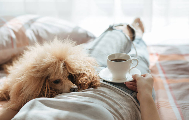 Young woman is resting with a dog on the bed at home with cup of coffee. Breakfast. - 写真・画像