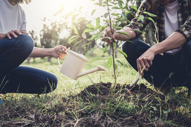 Young couple planting the tree while Watering a tree working in  - Photo, Image