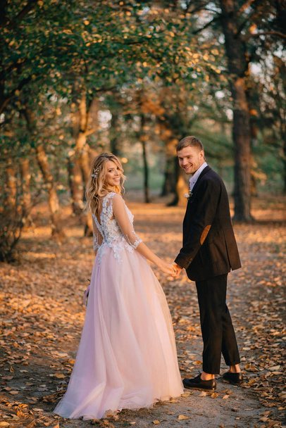 newlyweds walking in the woods at sunset - Фото, изображение