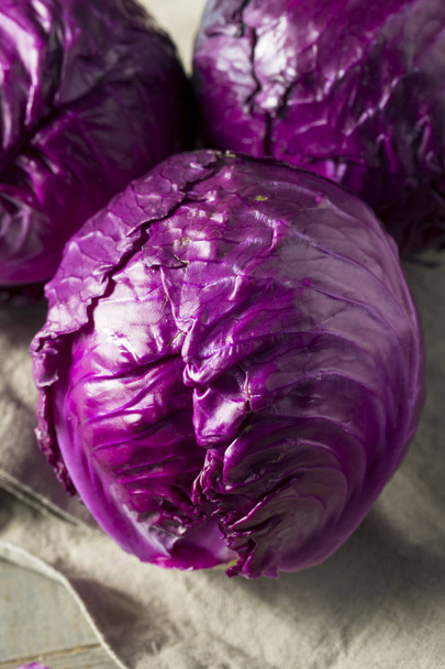 Raw Organic Purple Cabbage - Foto, immagini