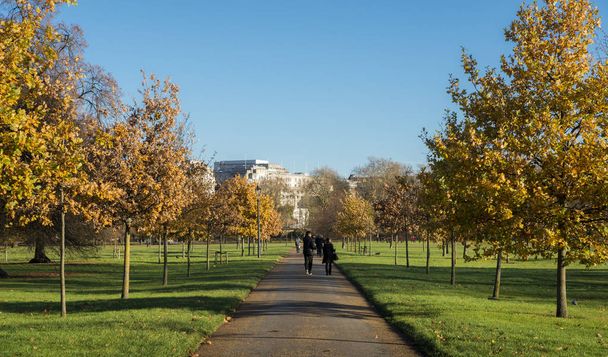 Journée ensoleillée d'automne à Hyde Park, Londres
 - Photo, image