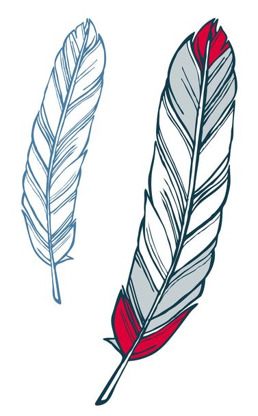 Feather illustration - Vector, Image