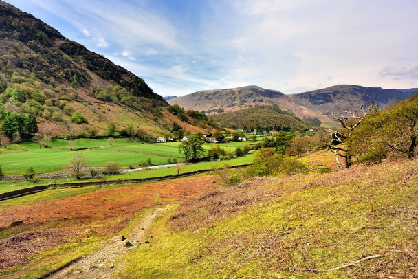 The green fields of Borrowdale - Photo, Image