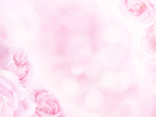 Bleke roze rozen in de hoeken van de onscherpe achtergrond - Foto, afbeelding