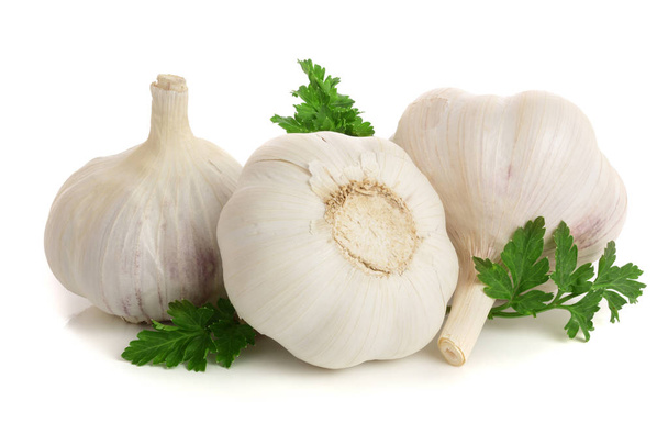 garlic with parsley leaf isolated on white background - Photo, Image