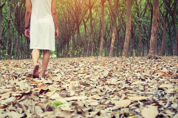 Surullinen nainen kävelee yksin metsässä surullisena ja yksinäisenä
 - Valokuva, kuva
