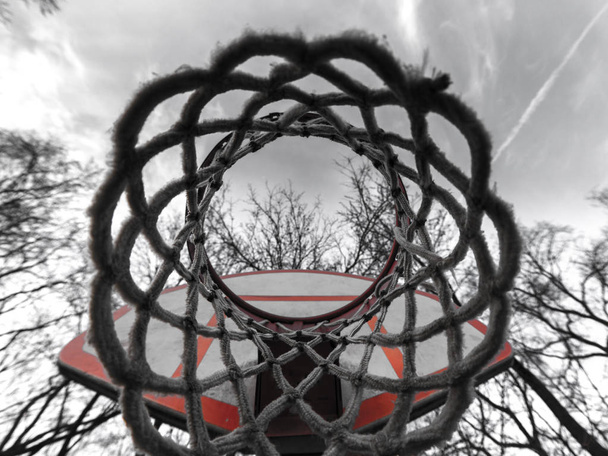 Vista de cerca de la fotografía única mirando hacia arriba en una red de baloncesto de patio urbano o de la ciudad y aro con el cielo, nubes y ramas de árboles por encima y tablero naranja y blanco
. - Foto, Imagen