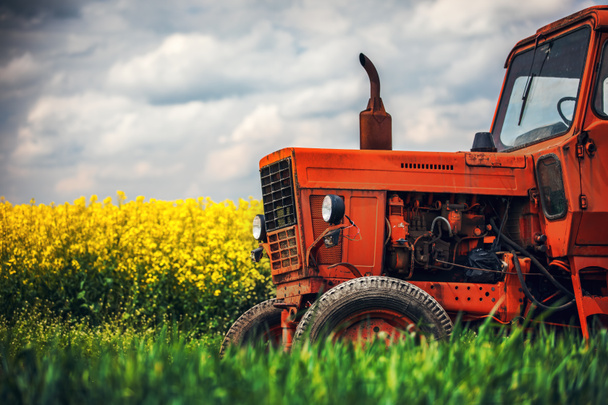 Трактор на сельскохозяйственных полях
 - Фото, изображение
