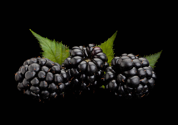 Fruta de mora en negro
 - Foto, imagen