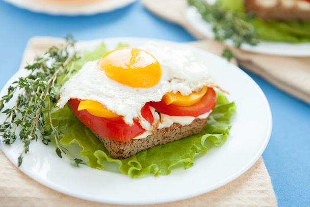 fried egg on bread and vegetables - Foto, imagen